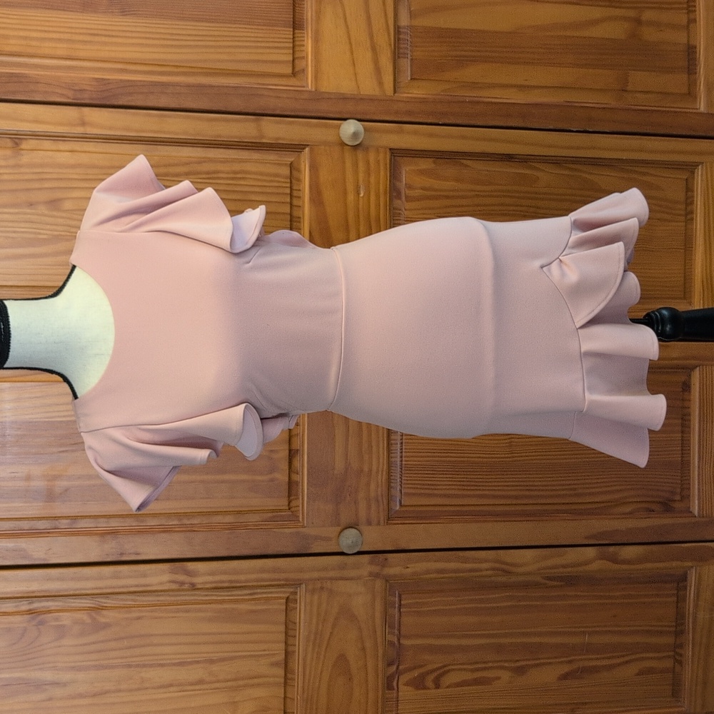 Hello Molly Take Chances Blush Dress Size 6 - Picture 3 of 9